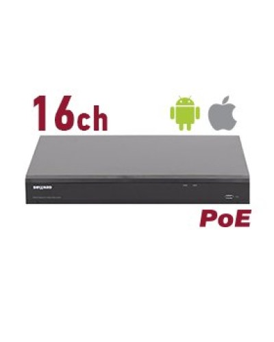 RK2216-P. Видеорегистратор IP 16-канальный. Beward в Стерлитамаке