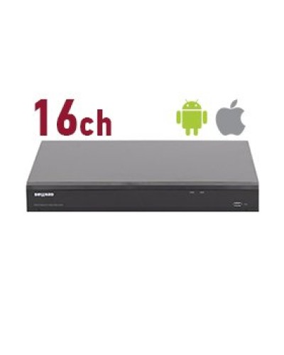 RK2216. Видеорегистратор IP 16-канальный. Beward в Стерлитамаке