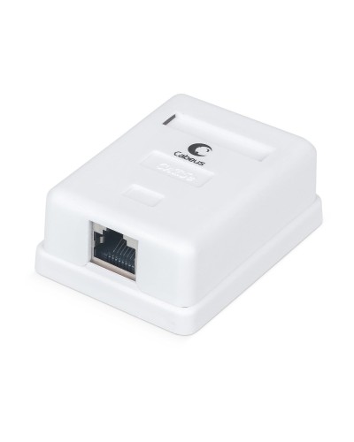 WS-8P8C-Cat.5e-SH-1 (7485c): Розетка RJ-45 в Стерлитамаке