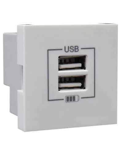Розетка USB двойная, зарядная, белая (45439 SBR): Розетка USB двойная в Стерлитамаке