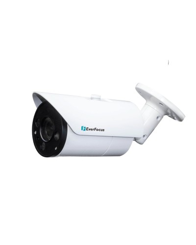 EZN-268V. Видеокамера IP купольная. EverFocus в Стерлитамаке