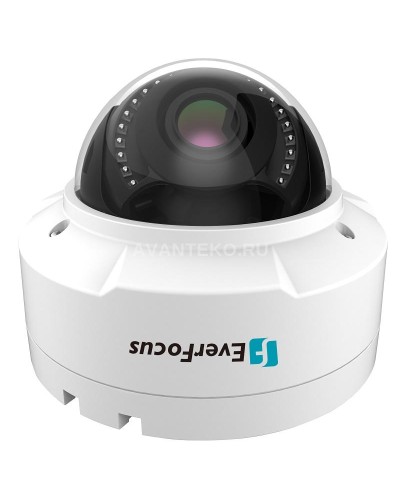EHN-1250. Видеокамера IP купольная. EverFocus в Стерлитамаке