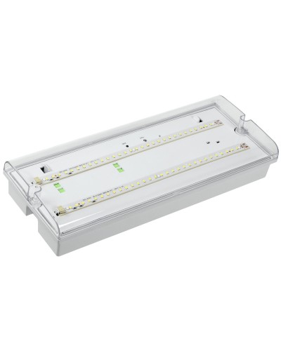 Светильник аварийный ДПА 5042-1 1ч IP65 LIGHTING (LDPA0-5042-1-65-K01). Светильник аварийный универсальный. IEK в Стерлитамаке