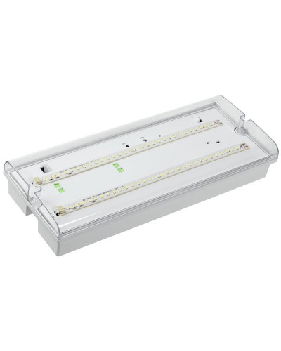 Светильник аварийный ДПА 5042-3 3ч IP65 LIGHTING (LDPA0-5042-3-65-K01). Светильник аварийный универсальный. IEK в Стерлитамаке
