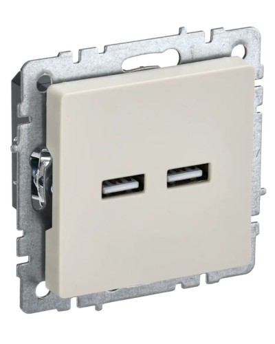 Розетка USB A+A 3,1А РЮ10-1-БрКр бежевый BRITE (BR-U21-D31-K10). Розетка USB. IEK в Стерлитамаке