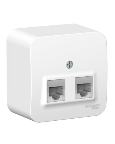 BLANCA розетка RJ11+RJ45, 2-местная, кат. 5Е, открытой установки, белый (BLNIA045111). Розетка компьютерная + телефонная с изолированной пластиной. Systeme Electric в Стерлитамаке