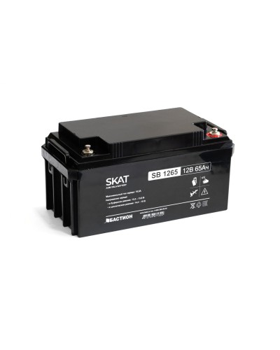 SKAT SB 1265 (2541). Аккумулятор герметичный свинцово-кислотный. Бастион в Стерлитамаке