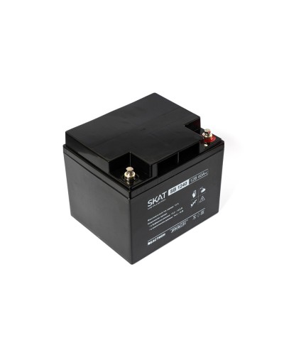 SKAT SB 1240 (2538). Аккумулятор герметичный свинцово-кислотный. Бастион в Стерлитамаке