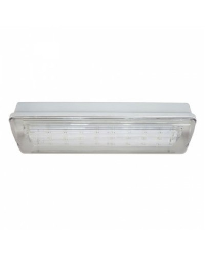 SL-213-30LED1.8 исп.1 IP54. Светильник аварийного освещения. ИП Раченков А.В. в Стерлитамаке