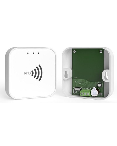 RFID-TM. Считыватель RFID. Ритм в Стерлитамаке